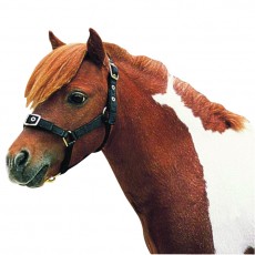 Roma Nylon Brass Buckle Headcollar (Black) Roma Nylon Brass Buckle Headcollar (Black)