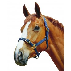 Roma Padded Jersey Headcollar (Black)