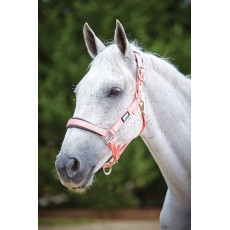 Roma Pastel Headcollar (Peach/Black)