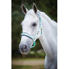 Roma Pastel Headcollar (Mint/Black)