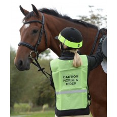 Roma Reflective Safety Vest (Yellow) Roma Reflective Safety Vest (Yellow)