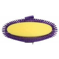 Roma Two Tone Sponge Brush (Pink/Purple)