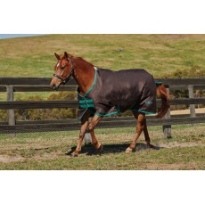 Saxon 600D IV Turnout - Standard - Medium IV (Chocolate/Mint)