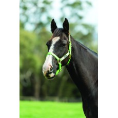 Saxon Brights Headcollar (Lime)