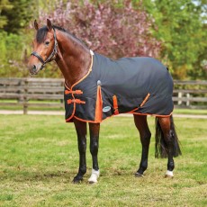 Weatherbeeta Comfitec Essential Turnout Rug - Standard Neck - Mediumweight (Iron/Flame) Size 6'5