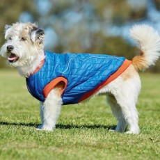 Weatherbeeta Comfitec Puffer Dog Coat (Blue/Flame)