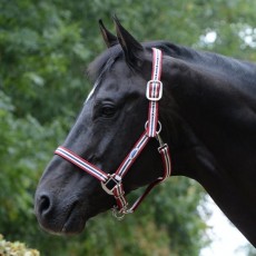 Weatherbeeta Coordinate Headcollar (Ruby) Weatherbeeta Coordinate Headcollar (Ruby)