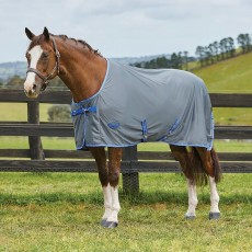 Weatherbeeta Ezi-Dri Cooler - Standard Neck (Grey/Blue) Size 5'6