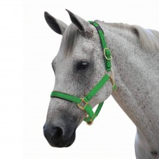 Roma Brights Headcollar (Lime)
