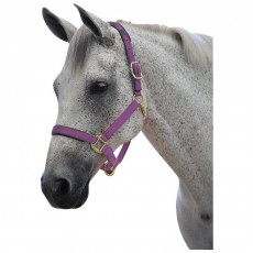 Roma Brights Headcollar (Purple)