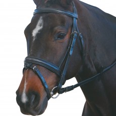 Kincade Padded Headpiece Flash Bridle (Black)