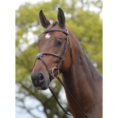 Kincade Grackle Bridle (Brown)