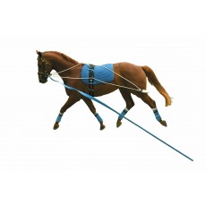 Kincade Lunging Training System