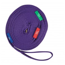Kincade Two Tone Lunge Line With Circle Markers (Purple/Black)