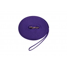 Kincade Two Tone Padded Lunging Rein (Purple/Black)