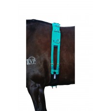 Kincade Brights Deluxe Equigrip Lunge Roller (Aqua)