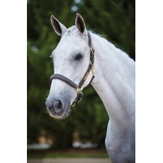 Kincade Leather Name Plate Headcollar (Brown)