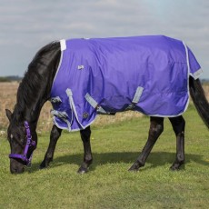 Mark Todd Medium Weight Pony Turnout Rug (Purple/Grey)