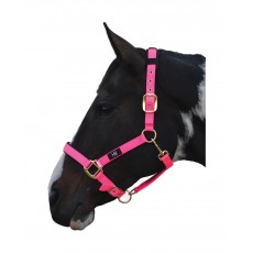 Hy Deluxe Padded Head Collar (Hot Pink)