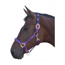 Hy Deluxe Padded Head Collar (Purple)