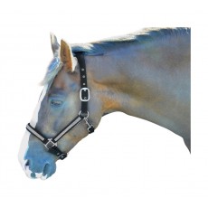 Hy Diamante Head Collar (Black/Diamante)