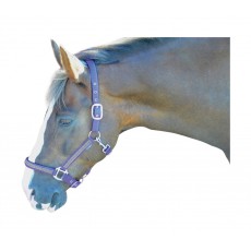 Hy Diamante Head Collar (Brilliant Blue/Diamante) Hy Diamante Head Collar (Brilliant Blue/Diamante)