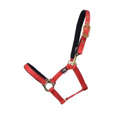 Hy Fieldsafe Small Pony & Foal Head Collar (Red)