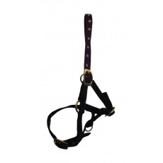 Hy Foal Head Collar (Black)