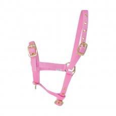 Hy Foal Head Collar (Pink)