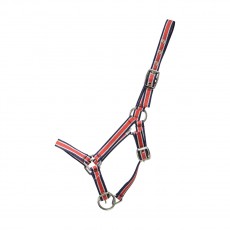 Hy Foal Plus Head Collar (Red/Navy)