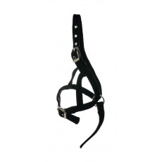 Hy Foal Slip Halter (Black)