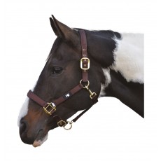 Hy Grand Prix Head Collar (Chocolate Brown)