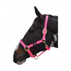 Hy Grand Prix Head Collar (Hot Pink) Hy Grand Prix Head Collar (Hot Pink)