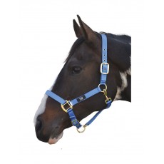Hy Head Collar (Blue) Hy Head Collar (Blue)