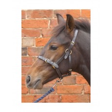 Hy Leather Foal Head Collar (Black)
