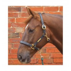 Hy Leather Head Collar (Brown)