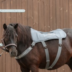 Equilibrium Massage Pad (Pony)