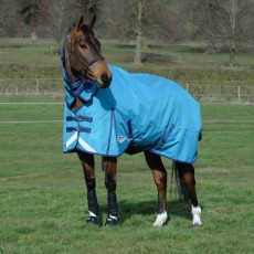 Weatherbeeta ComfiTec - Plus Dynamic - Combo - Lite (Sea Blue/Blue)