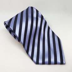 Equetech Broad Stripe Show Tie (Navy/Light Blue)