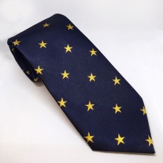 Equetech Stars Show Tie (Navy/Gold)