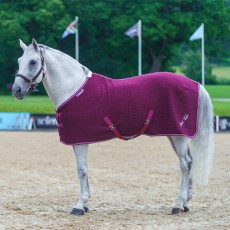 Mark Todd Coolex Cooler Rug (Burgundy/White)