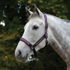 Weatherbeeta Leopard Headcollar (Pink Leopard Print) Weatherbeeta Leopard Headcollar (Pink Leopard Print)