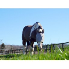 Equilibrium Field Relief Midi Fly Mask With Ears (Grey/Yellow Trim)