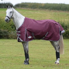 Weatherbeeta ComfiTec Plus Dynamic II Turnout Std Neck 100g Med/Lite (Maroon)