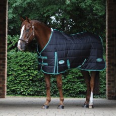 Weatherbeeta Green-Tec Stable Rug Standard 150g Med/Lite (Black/Bottle Green)