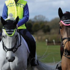 Weatherbeeta Reflective Ear Bonnet (Yellow)