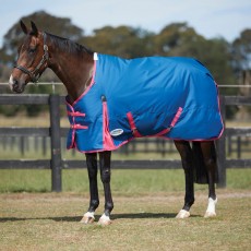 Weatherbeeta ComfiTec Classic Turnout Standard 220g Medium (Blueberry/Pink)