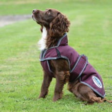 Weatherbeeta Comfitec Premier Free Parka Deluxe Dog Coat - Mediumweight (Maroon/Grey/White)