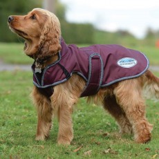 Weatherbeeta Comfitec Windbreaker Free Deluxe Dog Coat (Maroon/Grey/White)