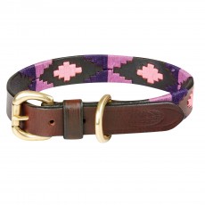 Weatherbeeta Polo Leather Dog Collar (Cowdray Brown/Purple/Purple)